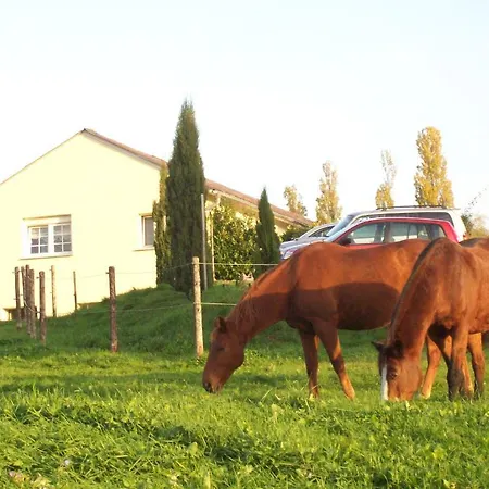 Apartamento Hofgut Sturm Gaste-apartments *